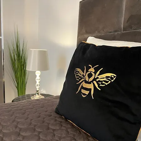 Velvet * 斯维诺乌伊希切