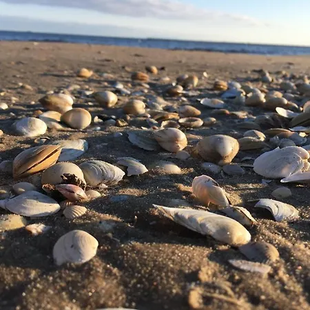 Апартаменты Velvet *