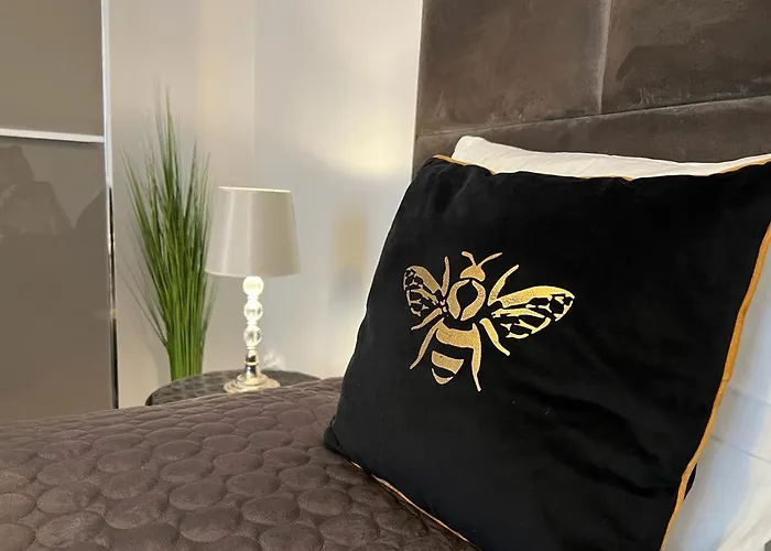 Velvet * 斯维诺乌伊希切