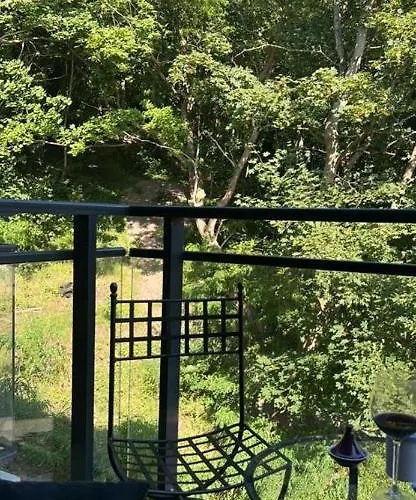 Velvet 斯维诺乌伊希切